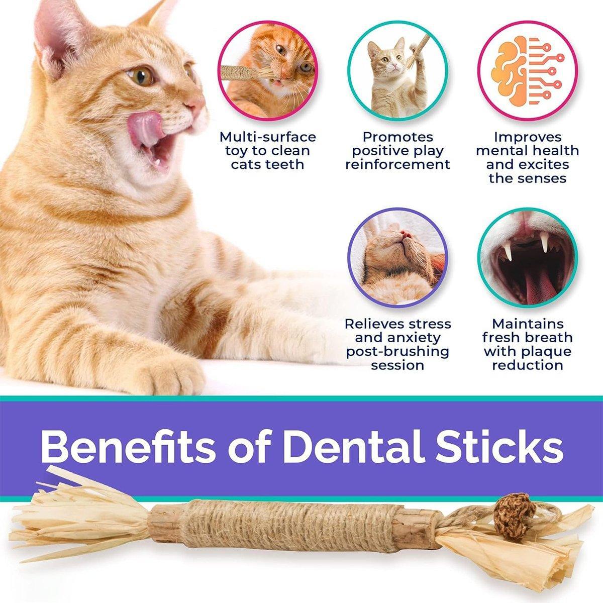 Natural silvervine cat chew stick with corn husk and hemp rope for dental cleaning — view 5