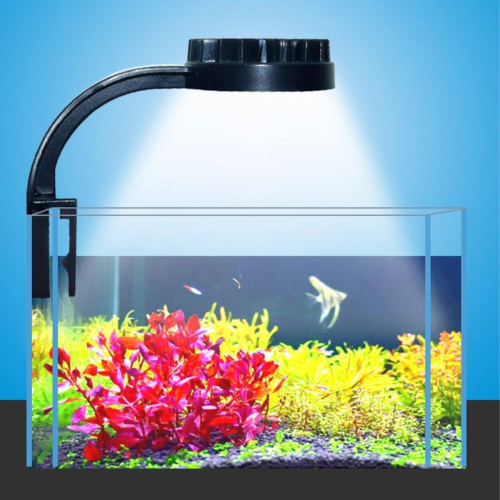 Small LED aquarium light clipped onto a desktop fish tank highlighting white and blue illumination — view 4