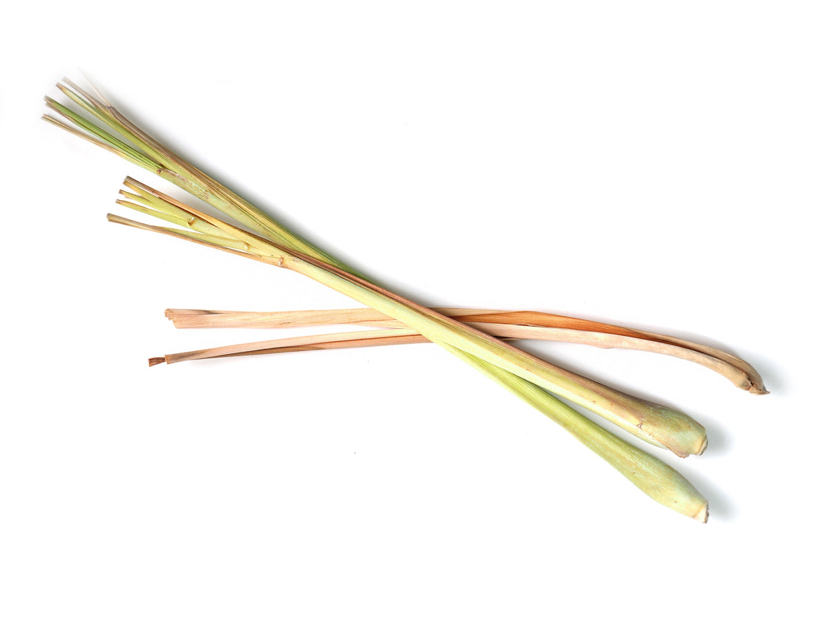 Lemongrass Fresh Cut for Culinary-0