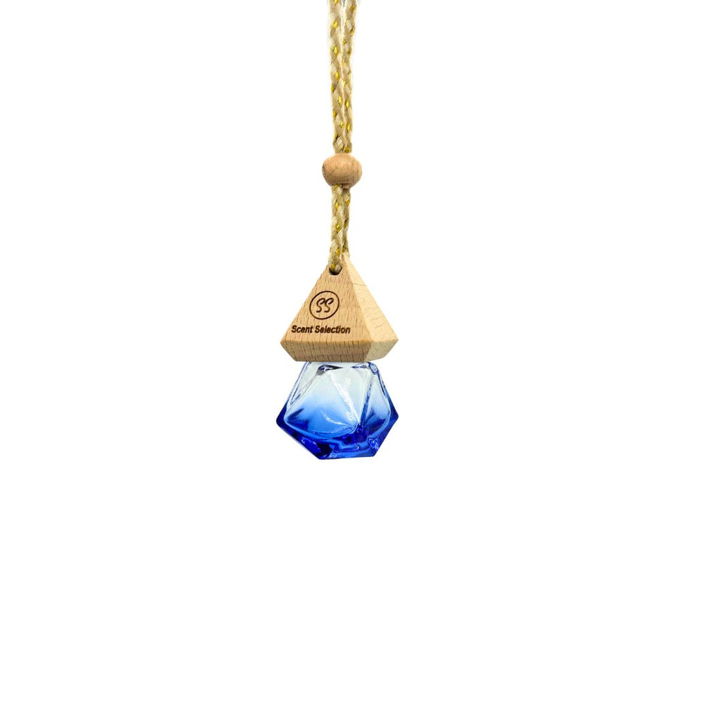 Lemongrass & Ginger Hanging Car Air Freshener Diffuser - 3 Colours-3