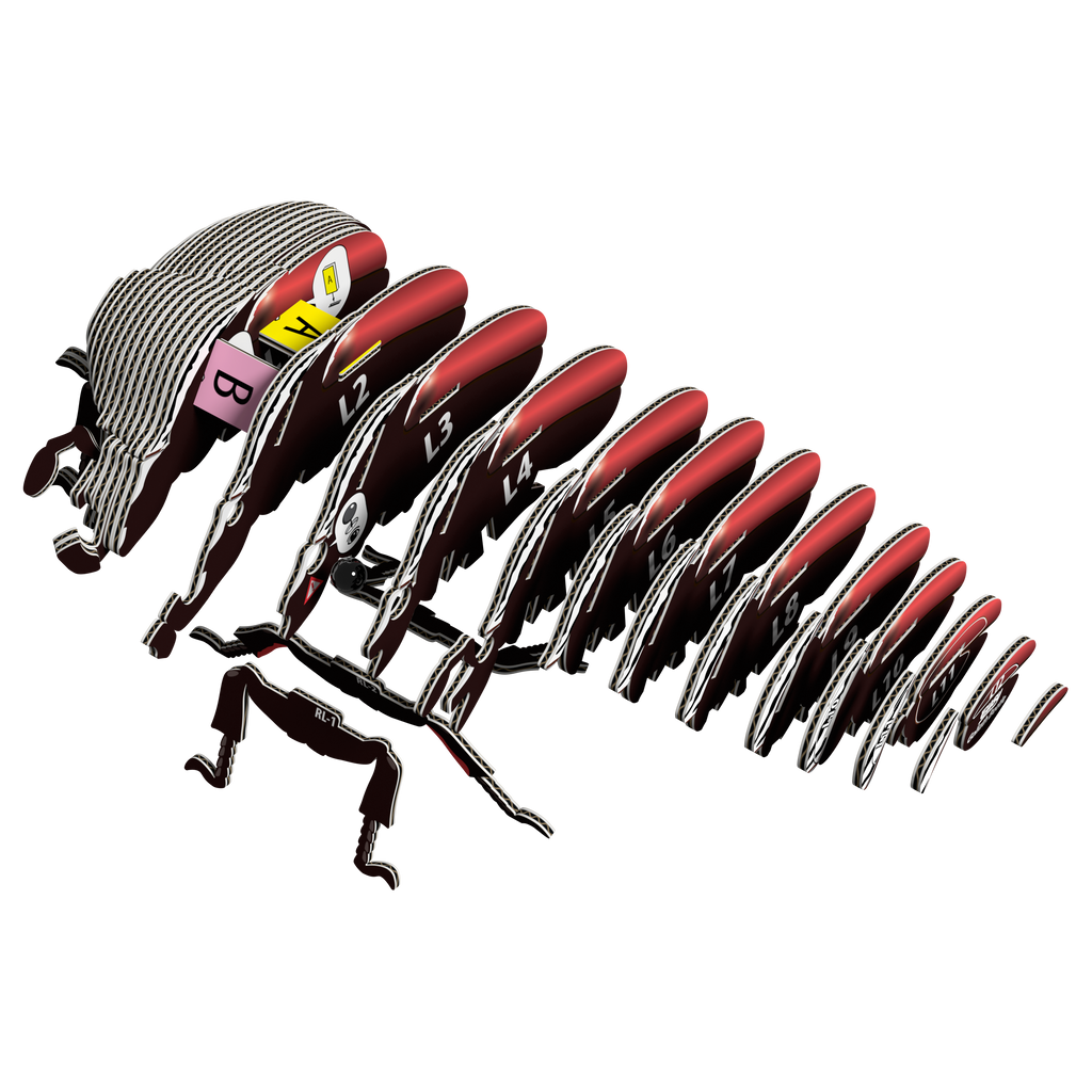 EUGY Goliath Beetle 3D puzzle constructed from eco-friendly biodegradable cardboard with authentic insect markings — view 2