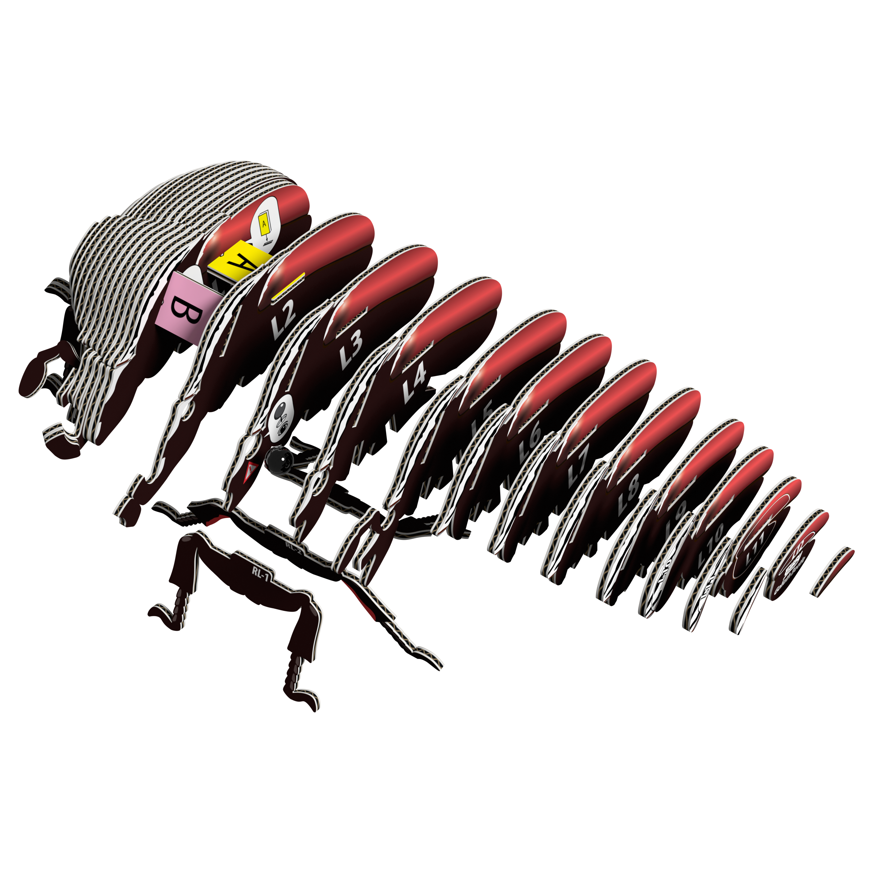EUGY Goliath Beetle 3D puzzle constructed from eco-friendly biodegradable cardboard with authentic insect markings — view 2