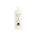 Organic Moroccan argan oil shampoo 200ml bottle for damaged hair repair and intense hydration.