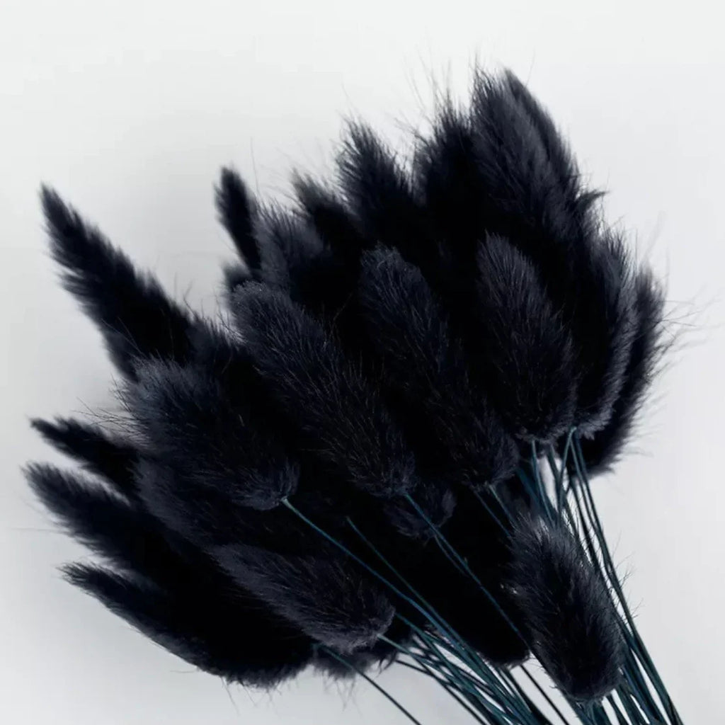 Black Bunny Tails-0