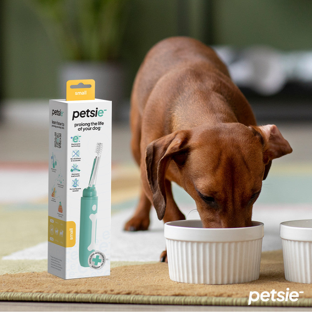 Petsie small dog toothbrush featuring an ergonomic handle, indicator light, and replaceable bristle brush head — view 5