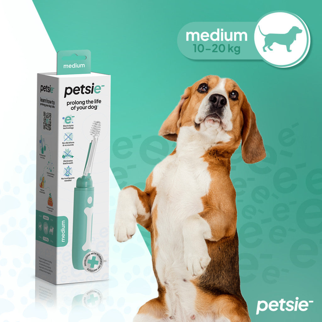 Petsie dog toothbrush for medium breeds featuring an ergonomic handle and replaceable cleaning head
