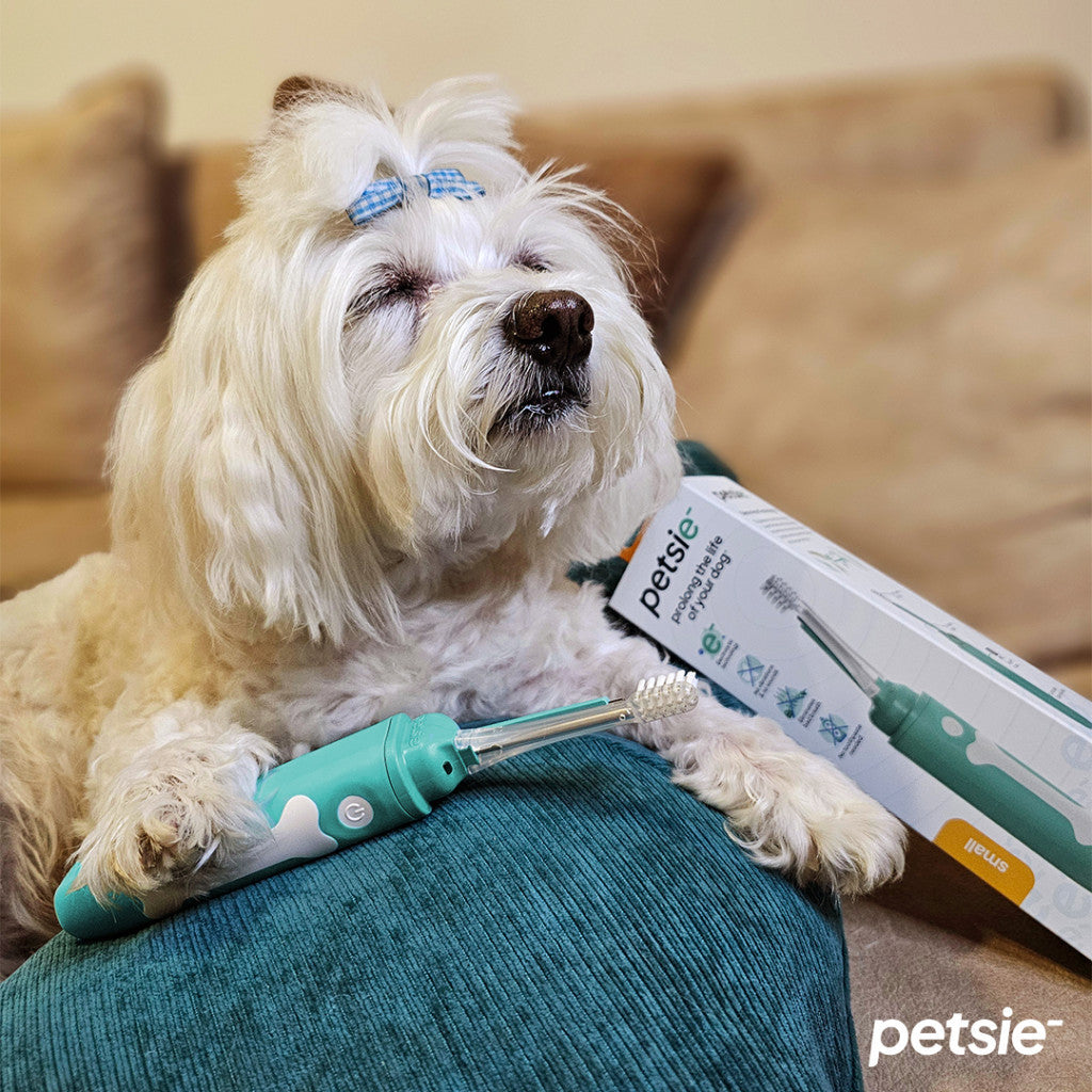 Petsie dog toothbrush for medium breeds featuring an ergonomic handle and replaceable cleaning head — view 6