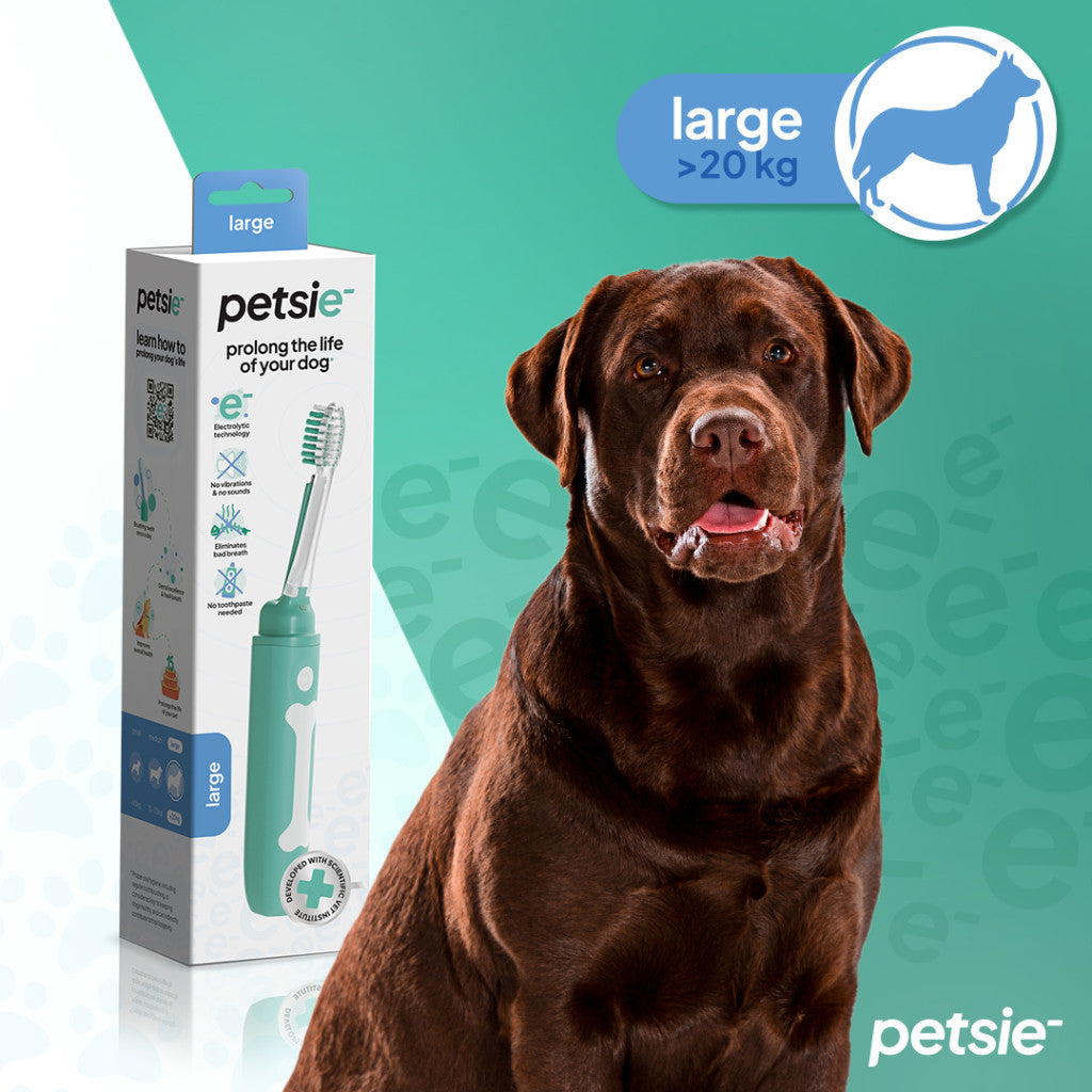 Petsie large dog toothbrush featuring an ergonomic handle and replaceable brush head