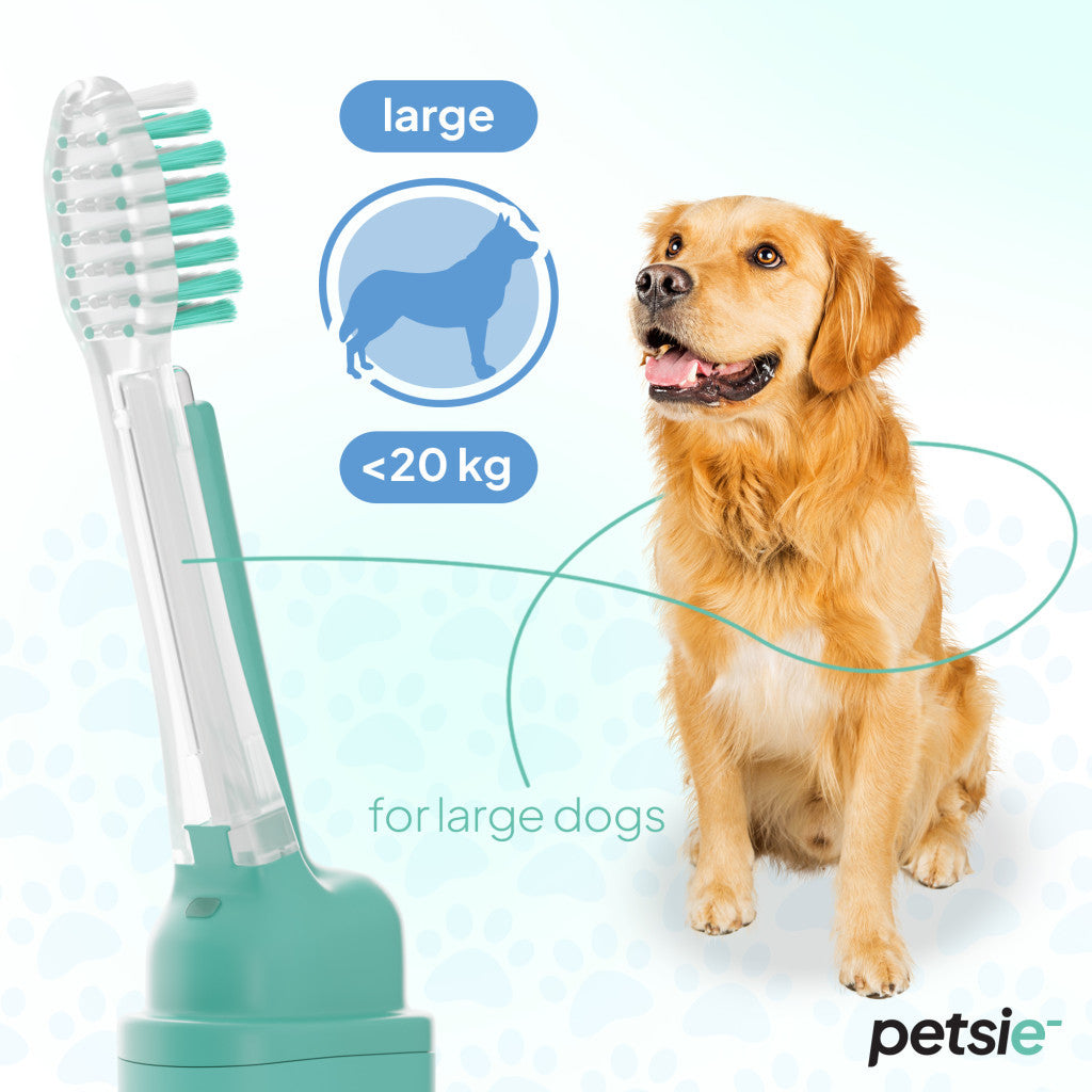 Petsie large dog toothbrush featuring an ergonomic handle and replaceable brush head — view 2
