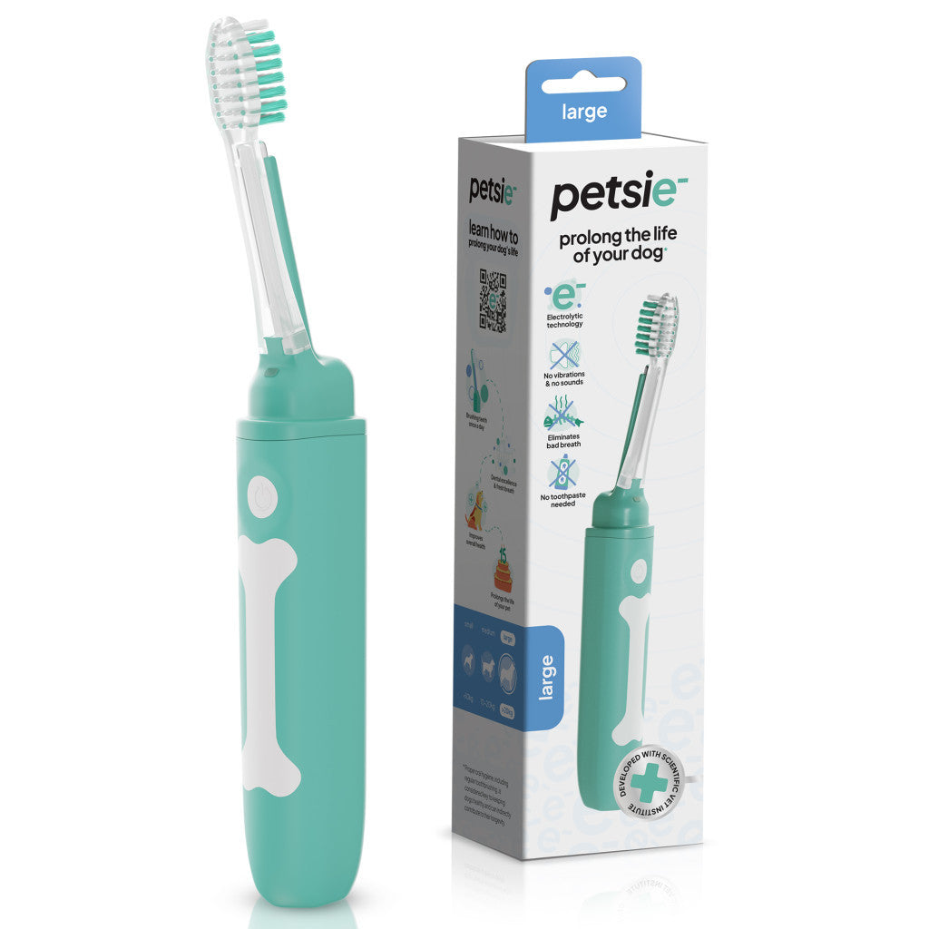 Petsie large dog toothbrush featuring an ergonomic handle and replaceable brush head — view 3