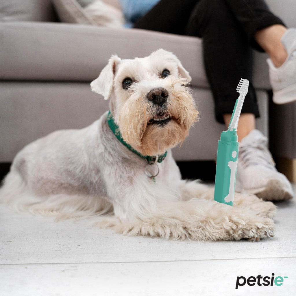 Petsie large dog toothbrush featuring an ergonomic handle and replaceable brush head — view 7