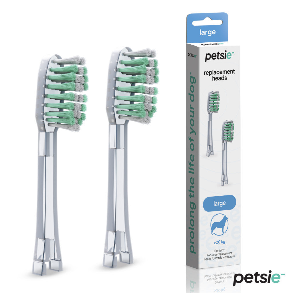 Two Petsie dog toothbrush replacement heads for large breeds with soft bristles and secure attachment base