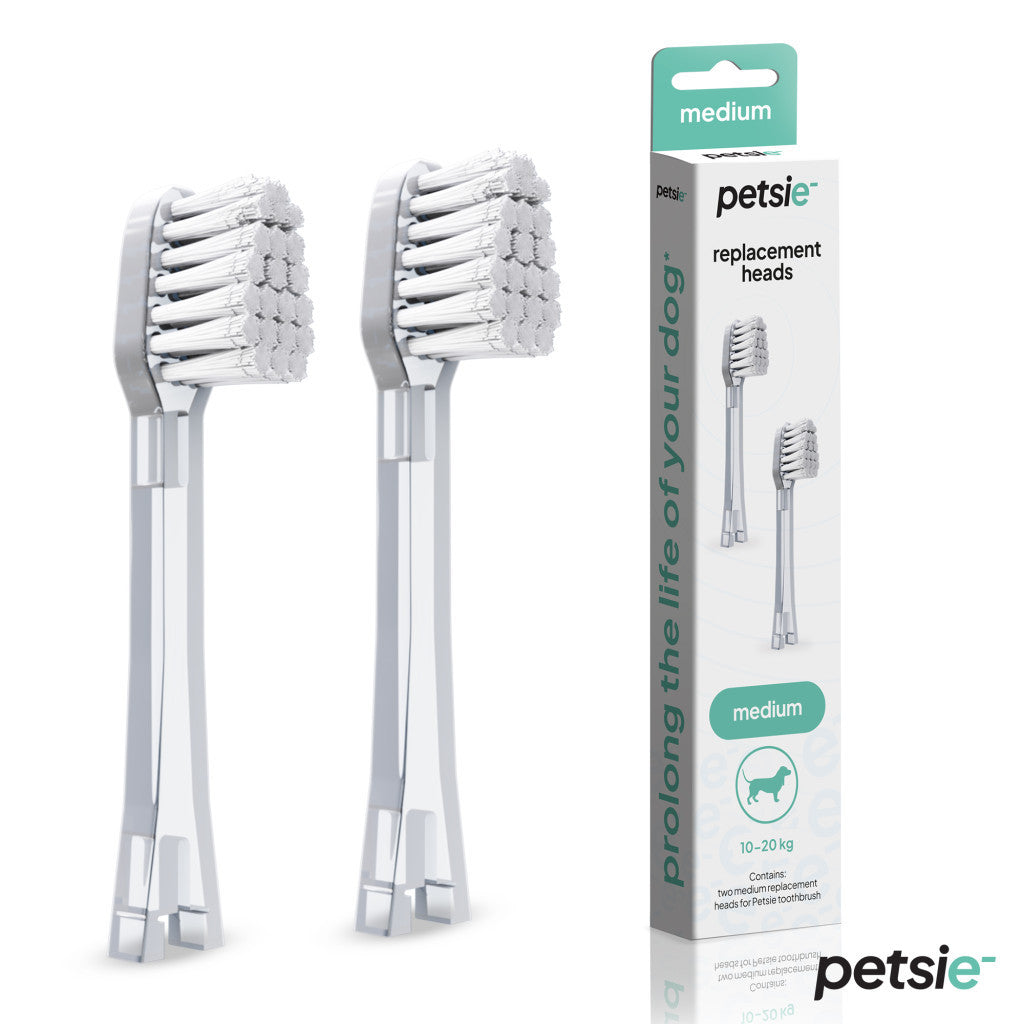 Two replacement heads for Petsie dog toothbrush with soft bristles for medium sized dogs