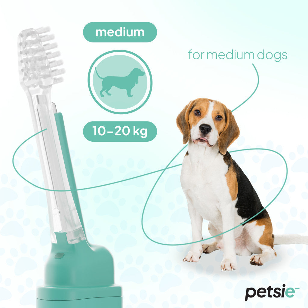Two replacement heads for Petsie dog toothbrush with soft bristles for medium sized dogs — view 2