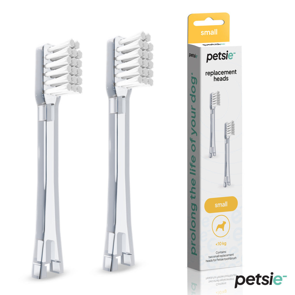 Petsie dog toothbrush replacement heads, two small white attachments with soft pet-safe bristles