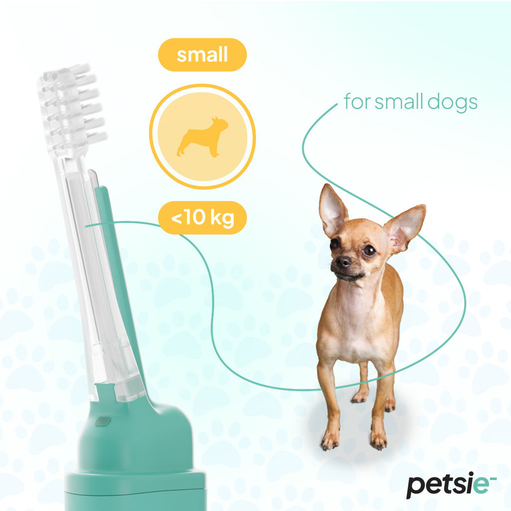 Petsie dog toothbrush replacement heads, two small white attachments with soft pet-safe bristles — view 3