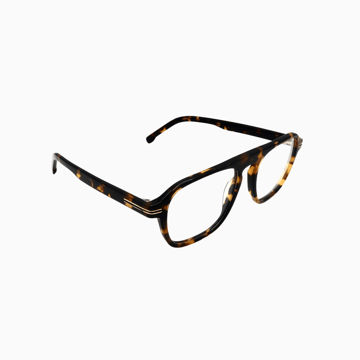Pinewood - Tortoise-2