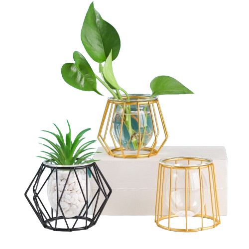Nordic hydroponic vase with geometric black metal stand and clear glass plant bottle — view 2