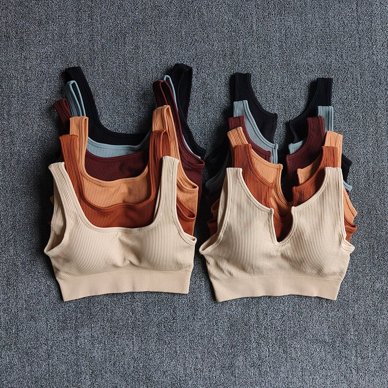 Seamless women's nylon sports bra crop top in various earthy colors with push up padding