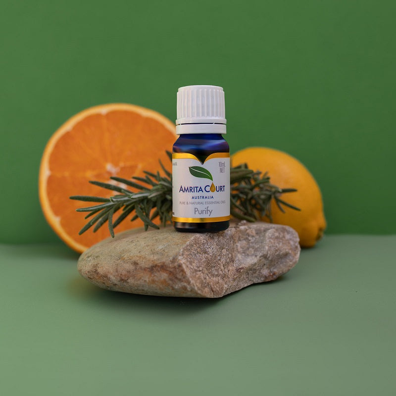 Small glass bottle of Purify Essential Oil Blend for aromatherapy and natural room air purification — view 2