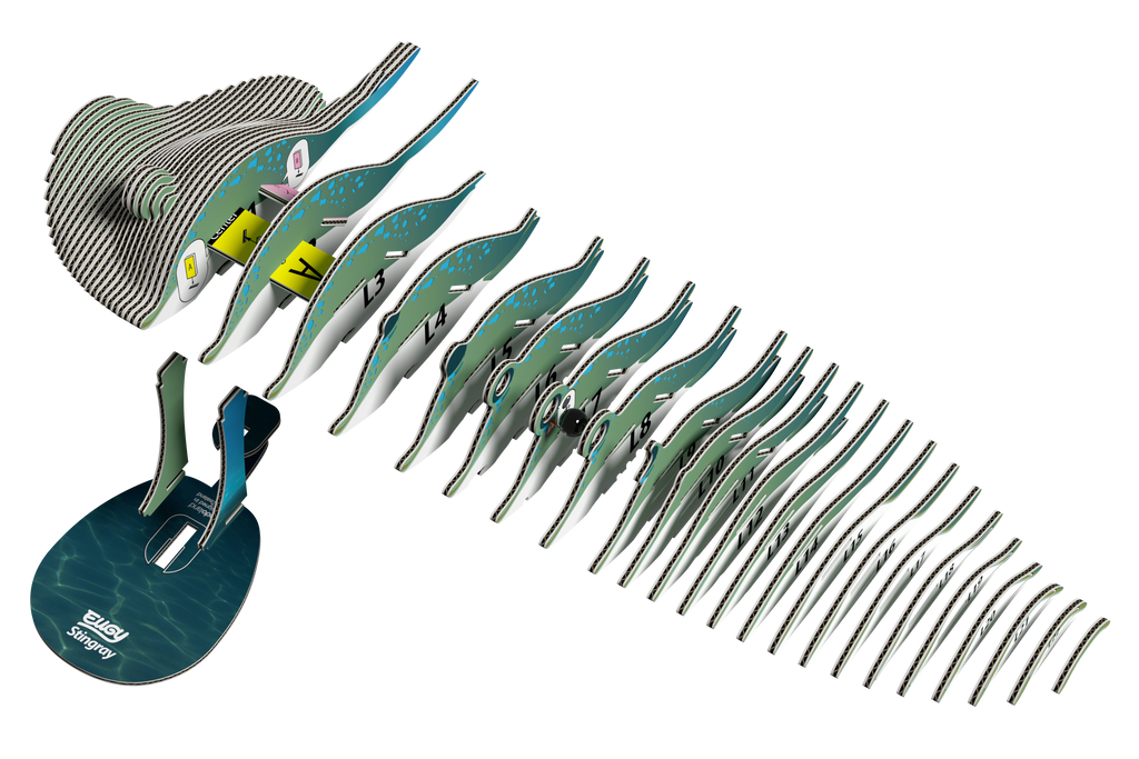 Stingray 3D puzzle built from eco-friendly biodegradable cardboard on a display stand — view 4