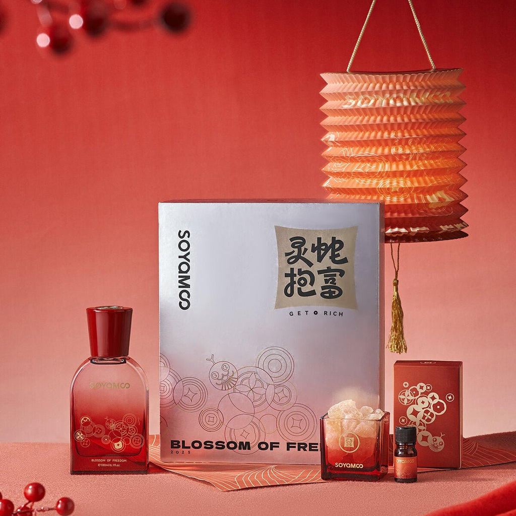 Fortune Serpent fragrance gift set, red glass reed diffuser and crystal diffuser with Himalayan salt.