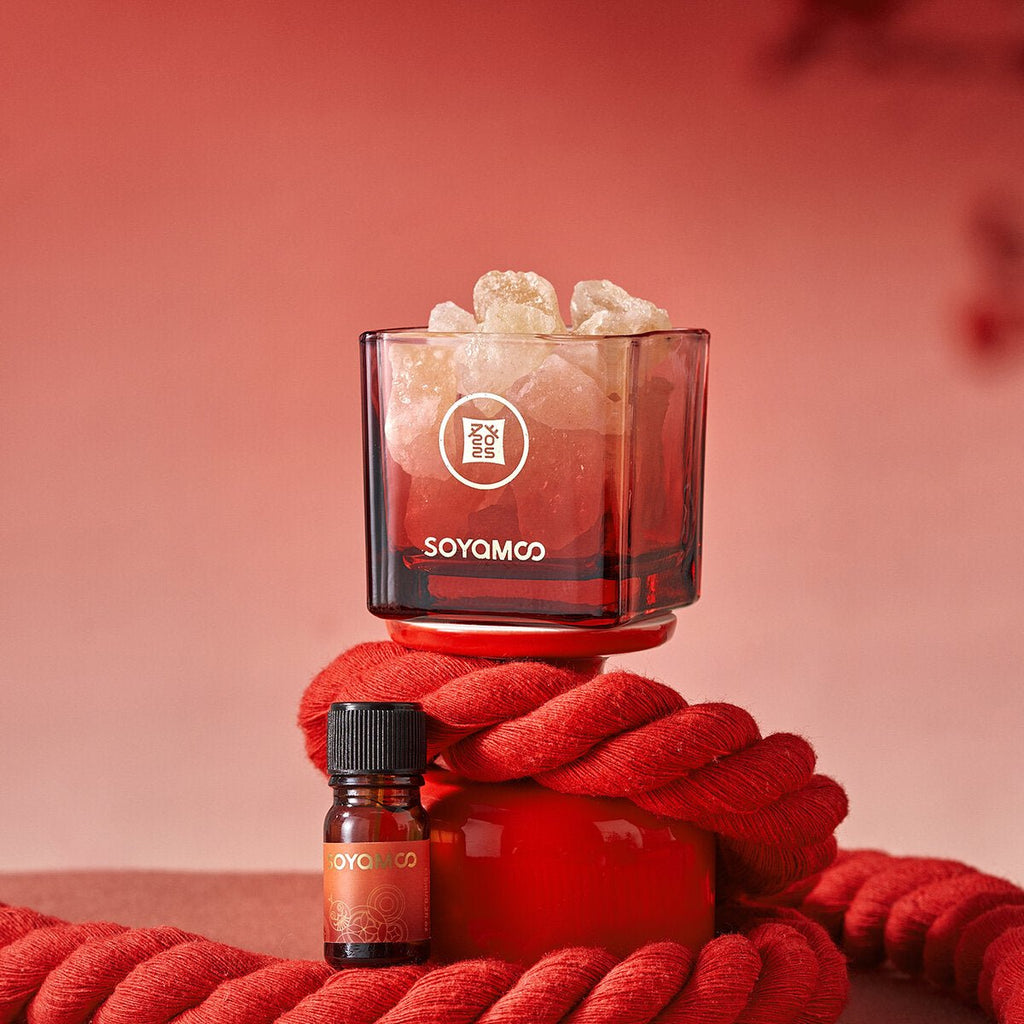 Fortune Serpent fragrance gift set, red glass reed diffuser and crystal diffuser with Himalayan salt. — view 4