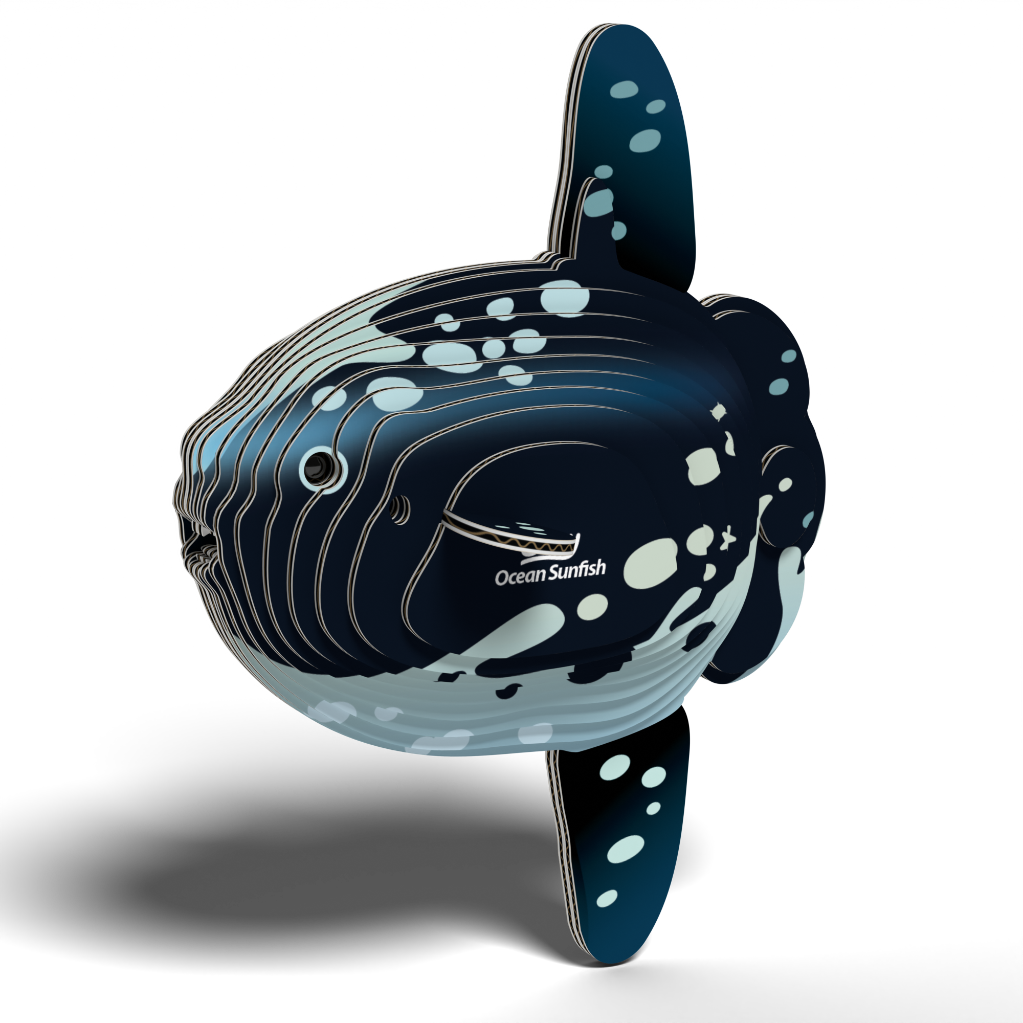 Ocean Sunfish 3D puzzle assembled showing tall fins and spotted pattern from eco-friendly cardboard — view 3