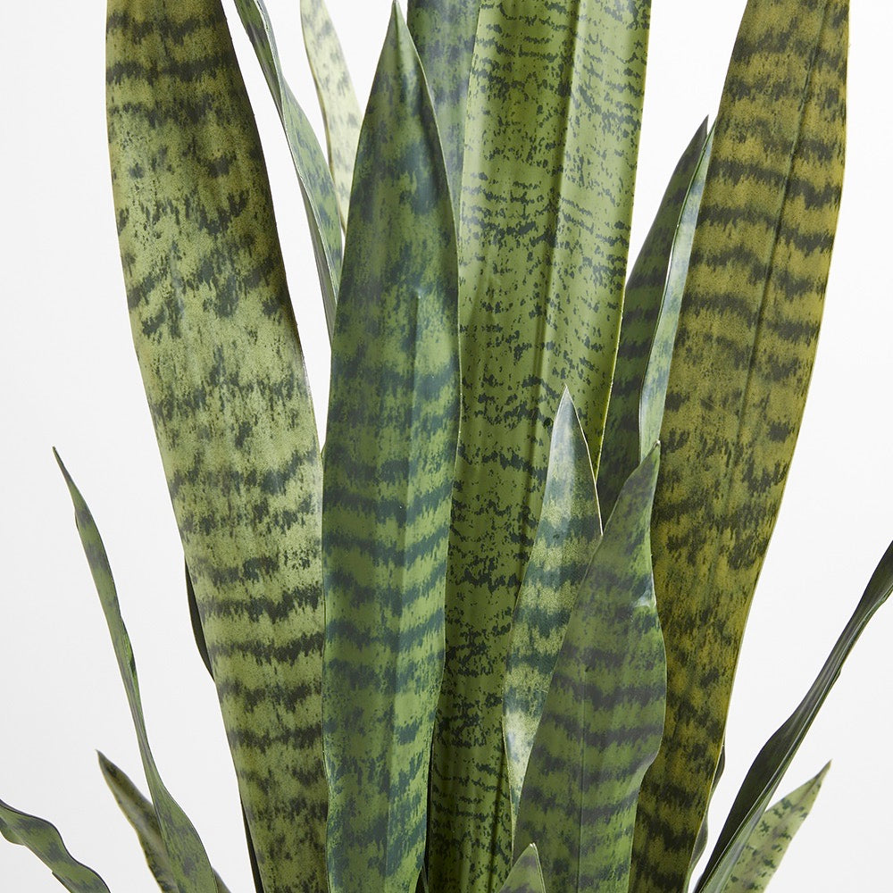 Artificial Snake Plant - 40"-4