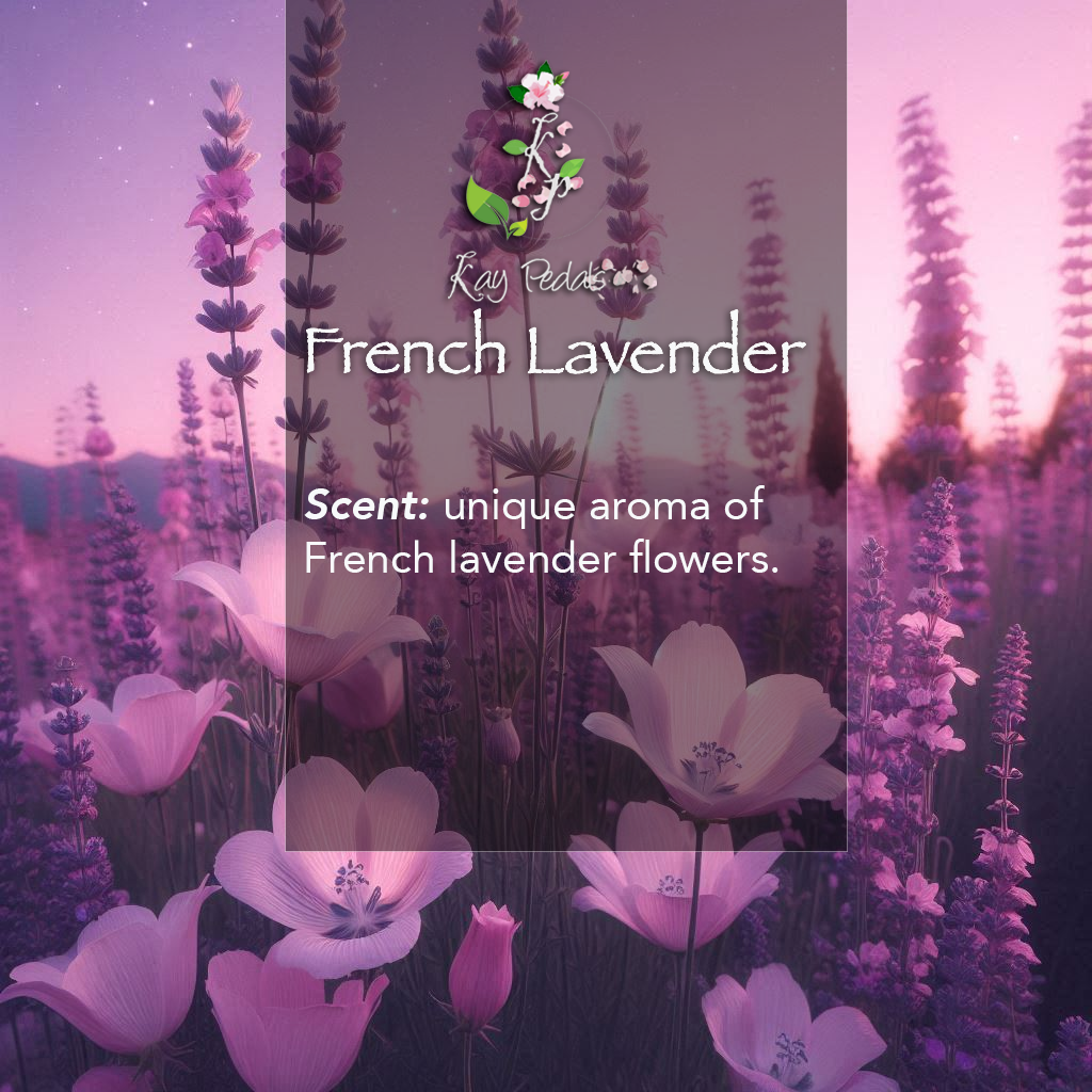 French Lavender Natural Organic Body Lotion 12oz-1