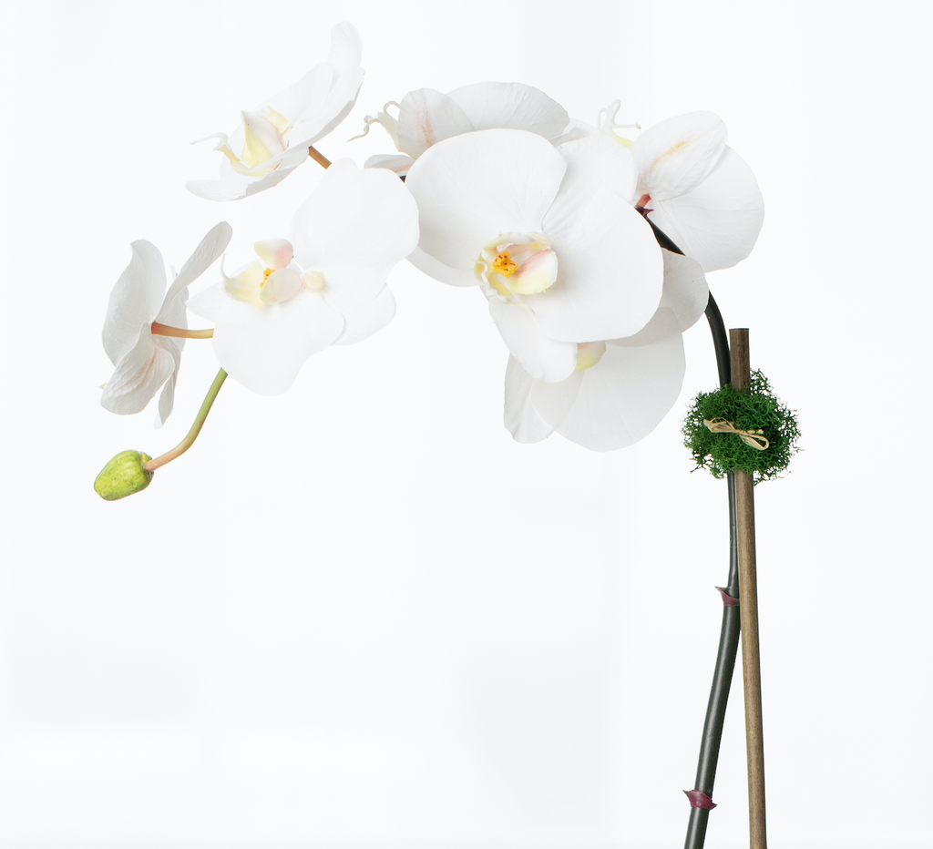 Artificial orchid plant - white orchid in white pot - 21"-3
