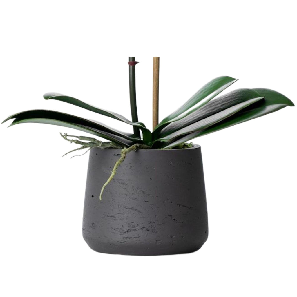 Artificial orchid plant - pink phalaenopsis orchid in black pot - 21"-4