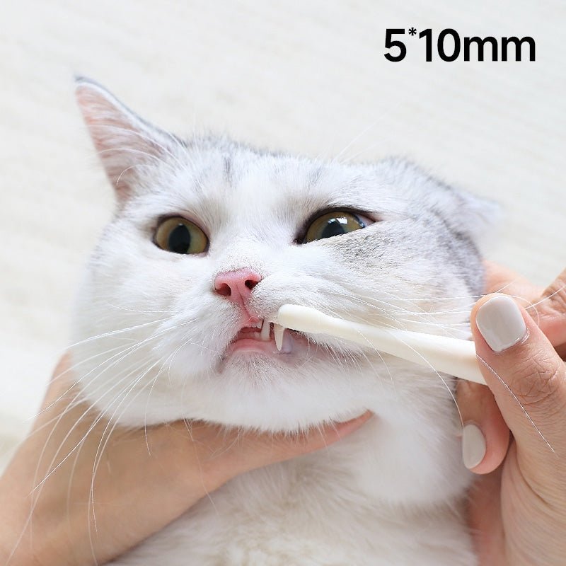 Slim 7-head soft bristle pet toothbrush with ergonomic angled handle for cats and small dogs — view 3