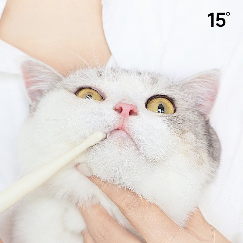 Slim 7-head soft bristle pet toothbrush with ergonomic angled handle for cats and small dogs — view 4