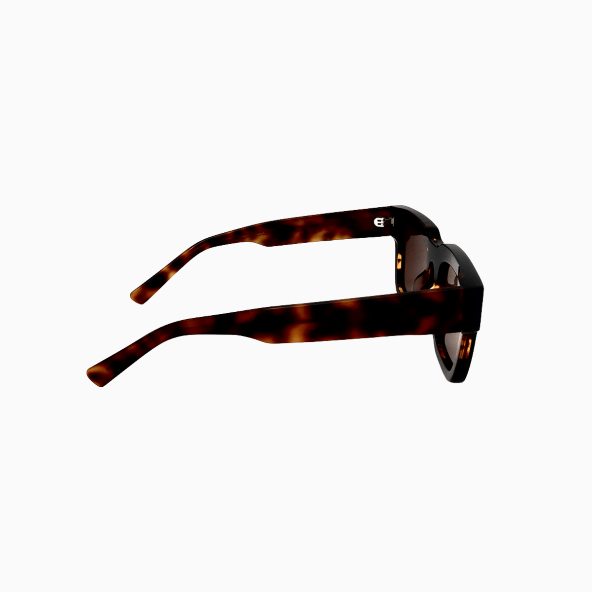Southwark - Tortoise-4