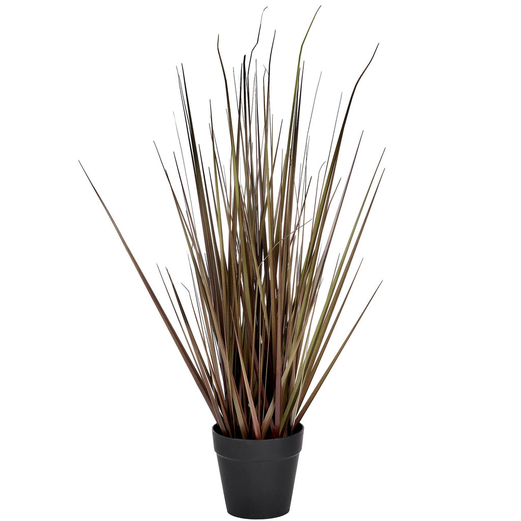 Spray Grass 21 Inch-0