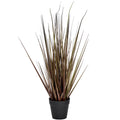 Spray Grass 21 Inch-0