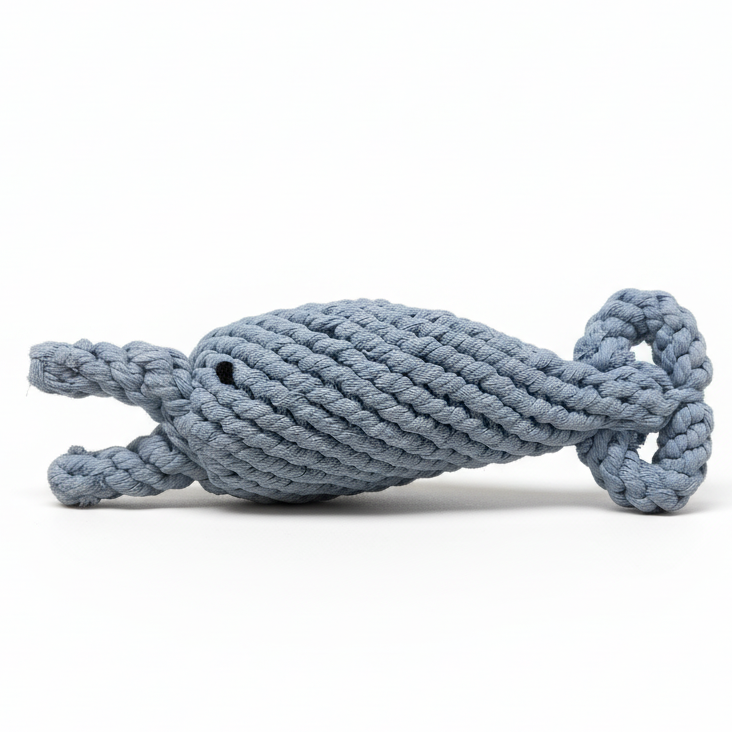 The dolphin dog toy-0