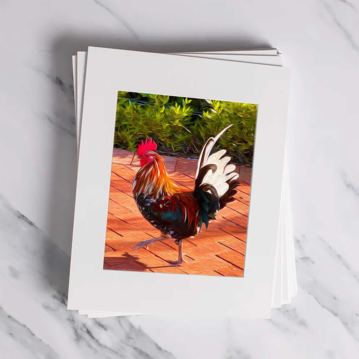 Tail Feathers Matted Print-0