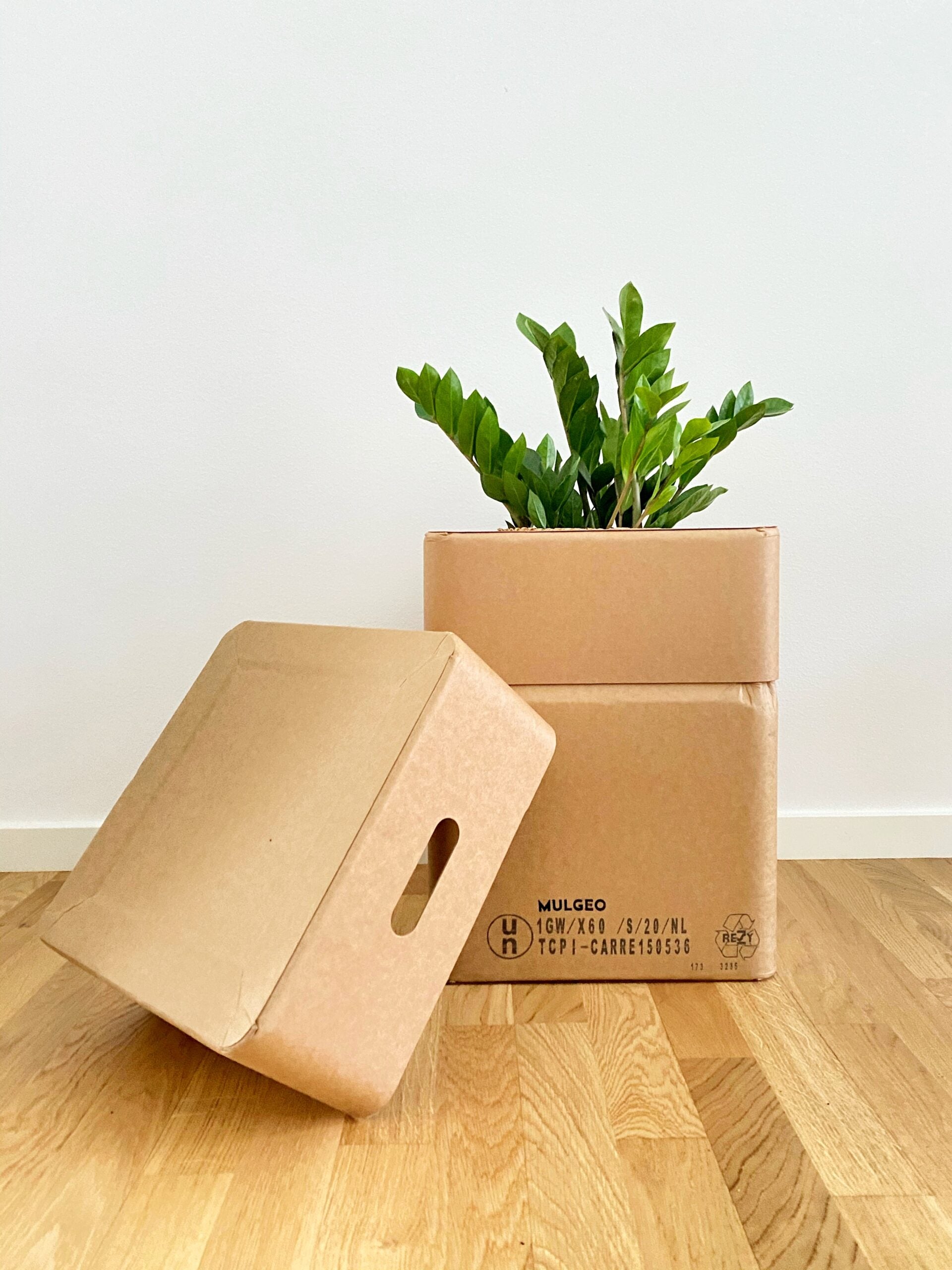 MULGEO box-chair H46 nature