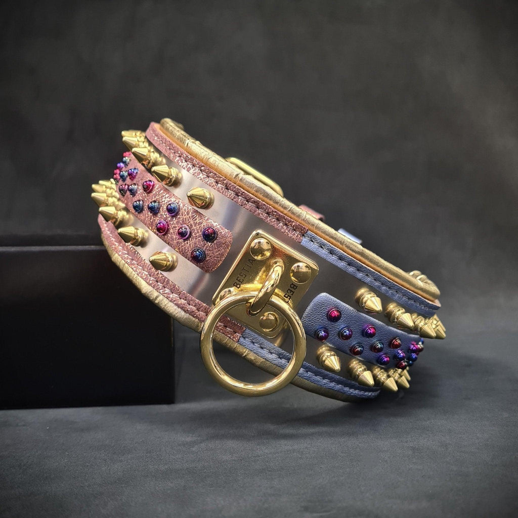 White genuine leather wide dog collar with brass plated gold hardware and vibrant candy accents. — view 2