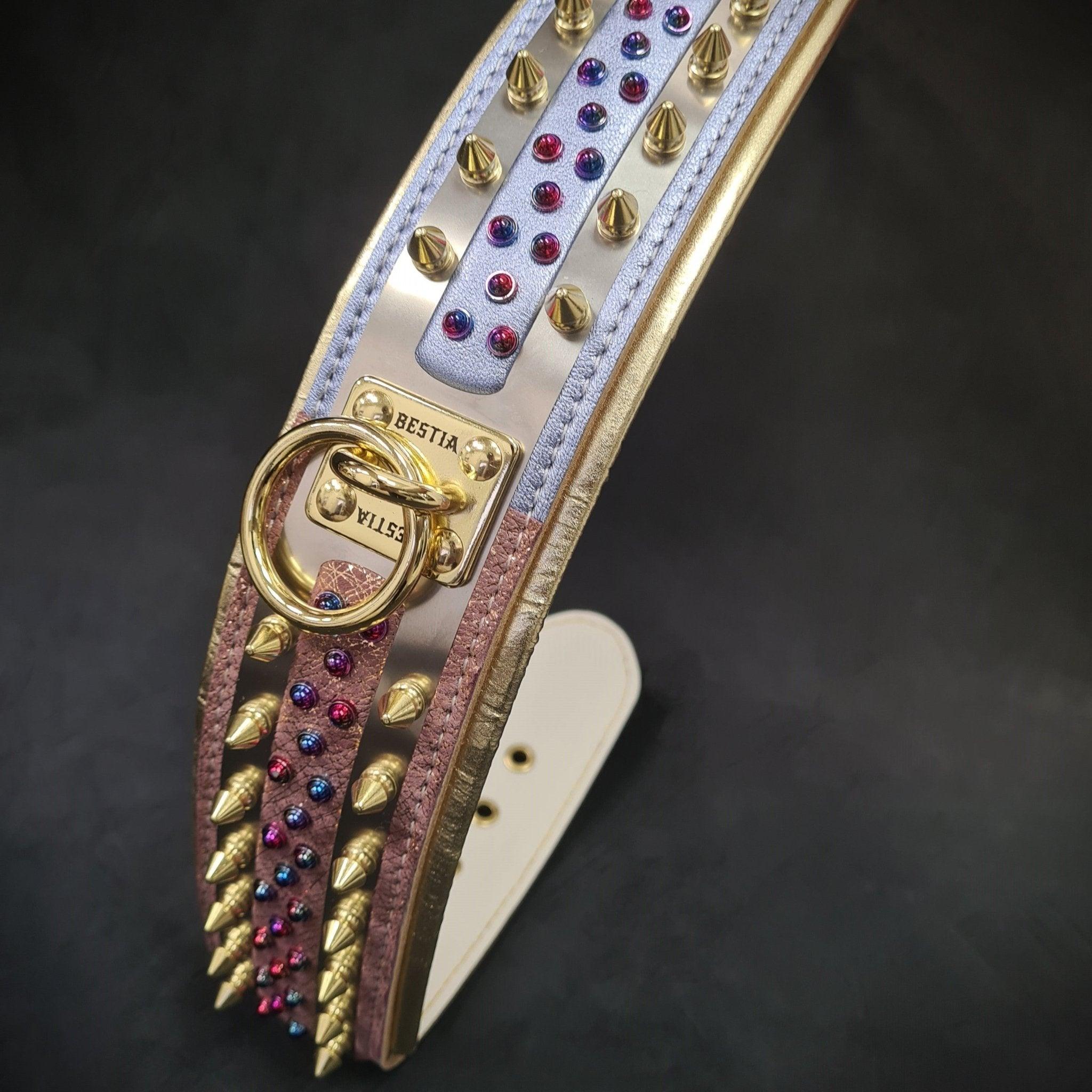 White genuine leather wide dog collar with brass plated gold hardware and vibrant candy accents.