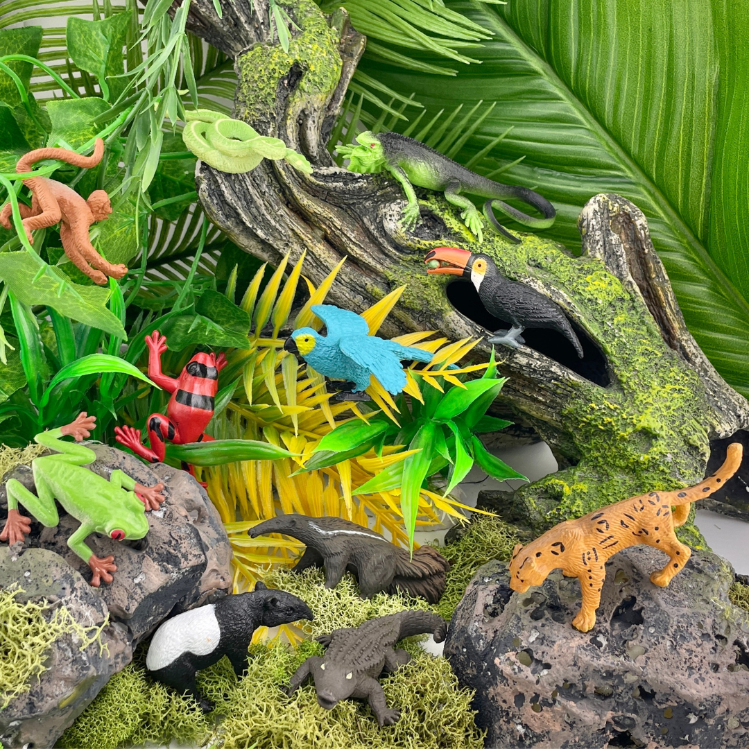 Rainforest TOOB®-4