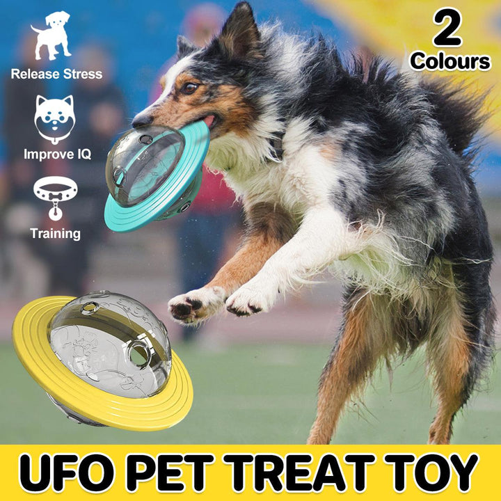 Leaky Ball Teething Toy Frisbee for Dogs and Cats Training Interactive Pet Toy