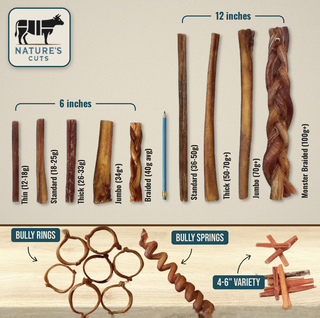 6" Standard Braided Bully Sticks Display Box-4