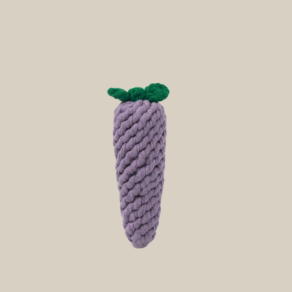 Handmade Eggplant Rope Toy-1