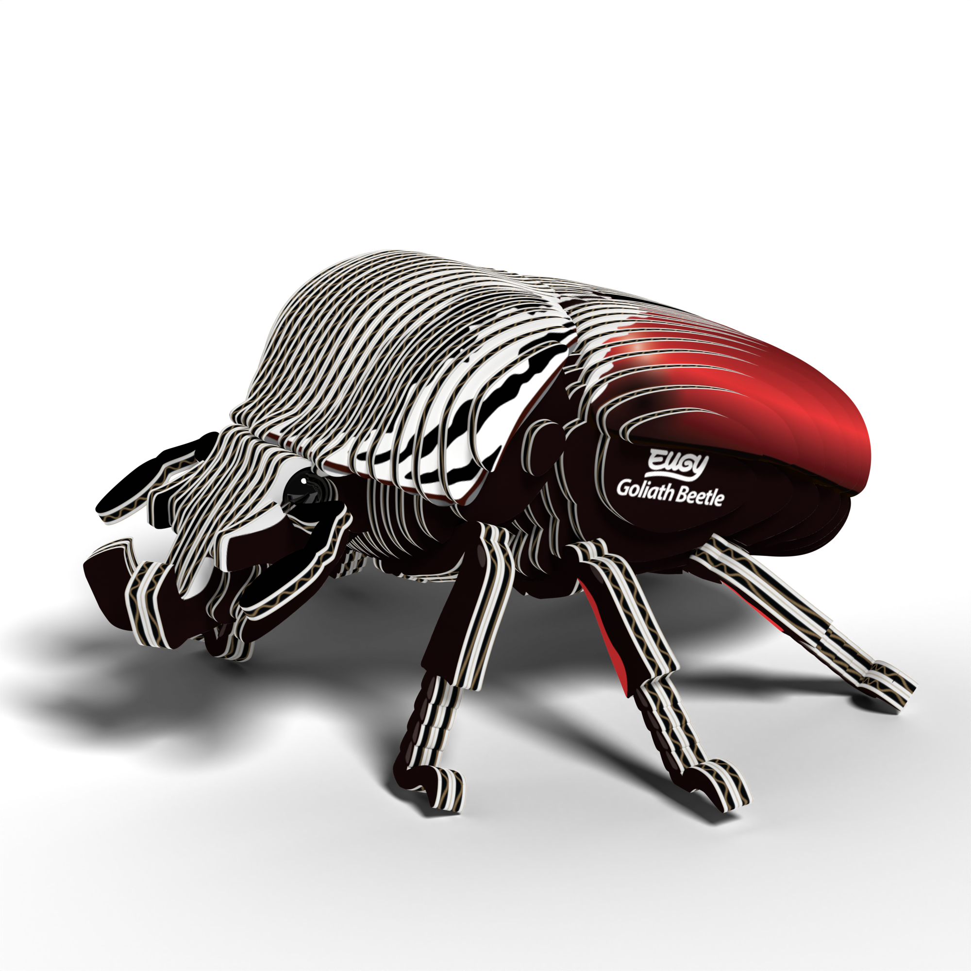 EUGY Goliath Beetle 3D puzzle constructed from eco-friendly biodegradable cardboard with authentic insect markings — view 3