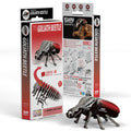 EUGY Goliath Beetle 3D puzzle constructed from eco-friendly biodegradable cardboard with authentic insect markings