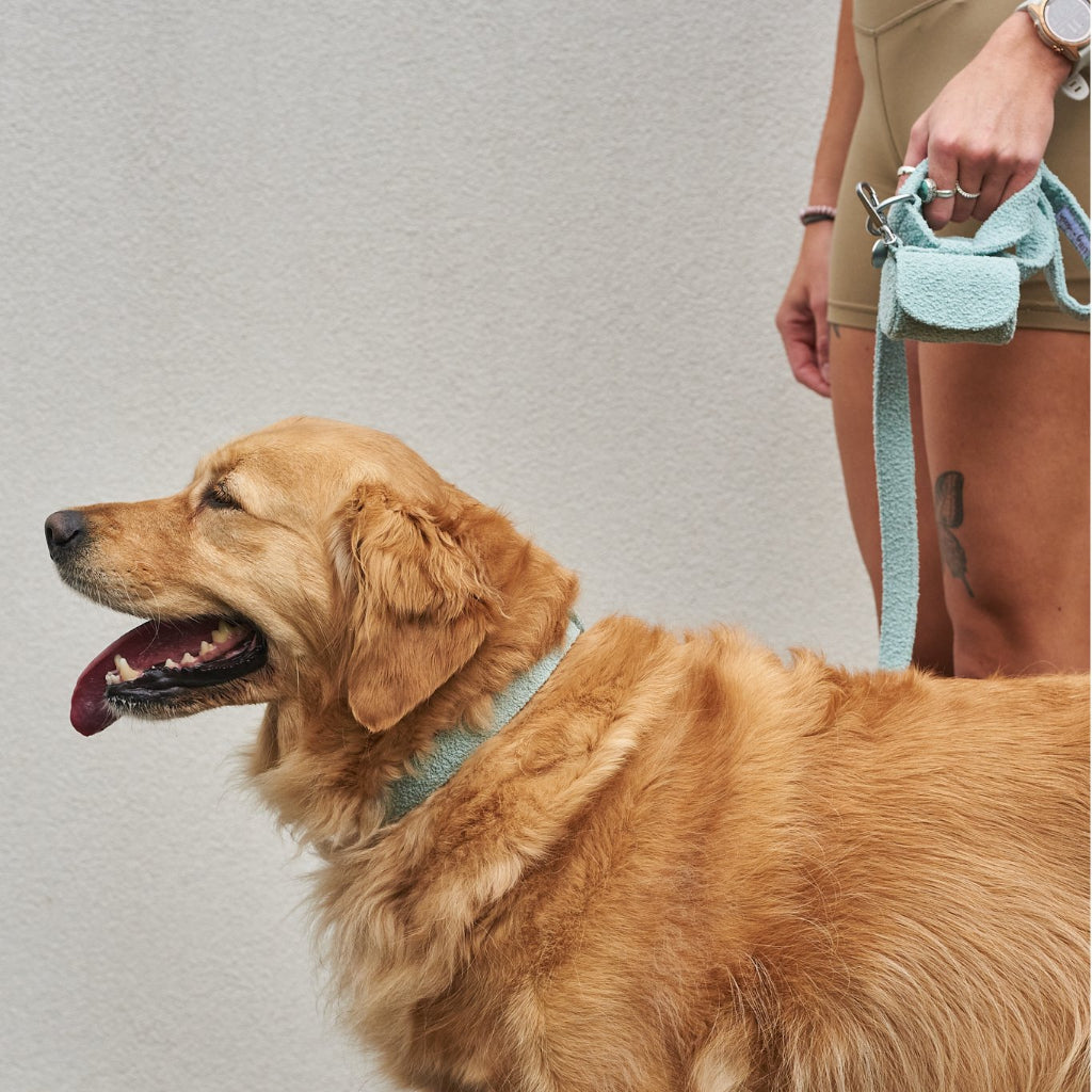 Cloud coloured boucle pet waste bag holder with two secure attachment straps for dog walking — view 4