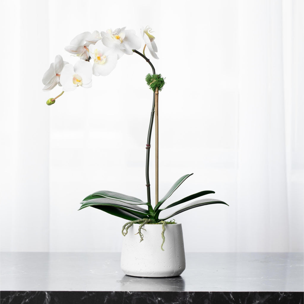 Artificial orchid plant - white orchid in white pot - 21"-0